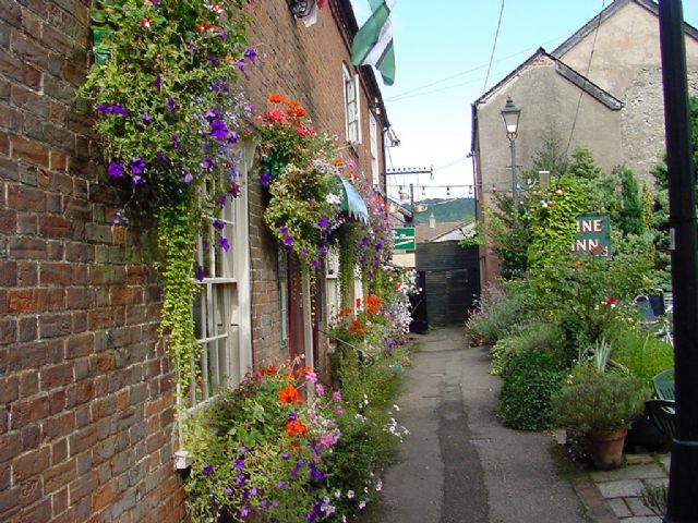Vine Inn, Honiton, Devon