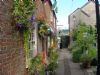 Click here for Vine Inn Honiton Devon's Pubsulike Web Pages.